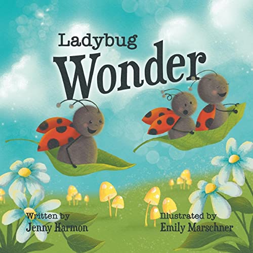 Ladybug Wonder