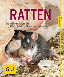 Ratten: So fühlen sich die Kletterkünstler rundum wohl (GU Tierratgeber)