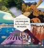 Les couleurs de la nature en France : voyage chromatique au fil des régions