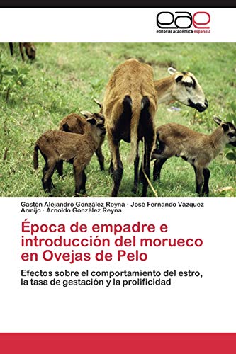Época de empadre e introducción del morueco en Ovejas de Pelo: Efectos sobre el comportamiento del estro, la tasa de gestación y la prolificidad