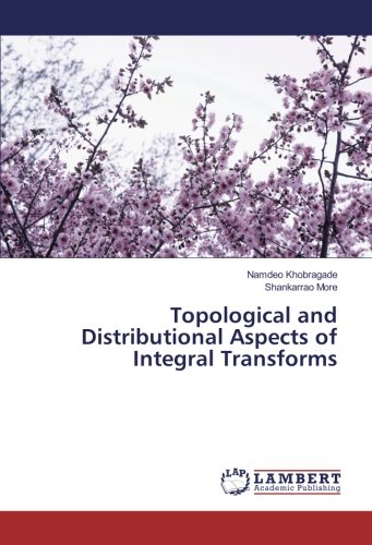 Topological and Distributional Aspects of Integral Transforms