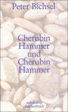 Cherubin Hammer und Cherubin Hammer: Eine Erzählung (suhrkamp taschenbuch)