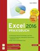 Excel 2016 Praxisbuch: Zahlen kalkulieren, analysieren und präsentieren