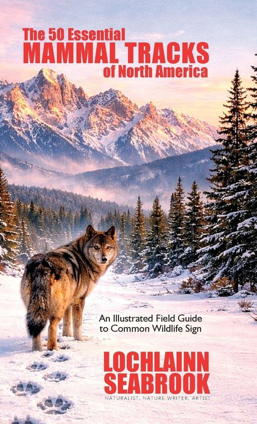 The 50 Essential Mammal Tracks of North America