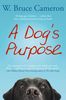 Dog's Purpose (A Dog's Purpose)