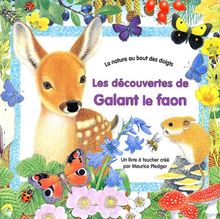 Les découvertes de Galant le faon