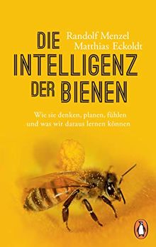 Die Intelligenz der Bienen: Wie sie denken, planen, fühlen und was wir daraus lernen können