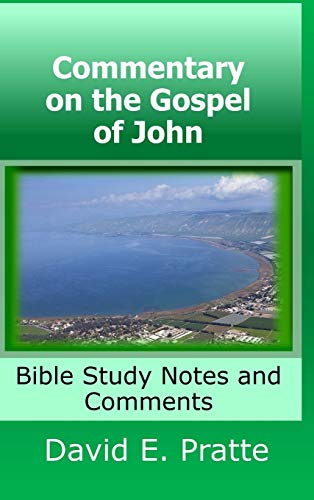 Commentary on the Gospel of John: Bible Study Notes and Comments