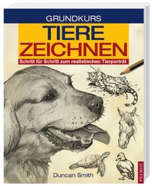 Grundkurs Tiere zeichnen: Schritt für Schritt zum realistischen Tierporträt
