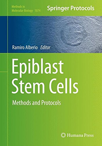 Epiblast Stem Cells: Methods and Protocols (Methods in Molecular Biology)