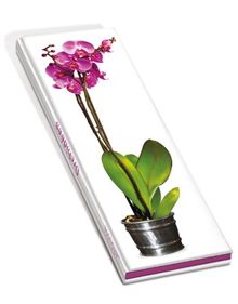 Orchidées