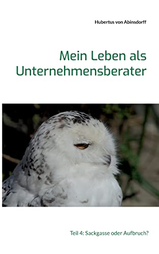 Mein Leben als Unternehmensberater: Teil 4: Sackgasse oder Aufbruch?