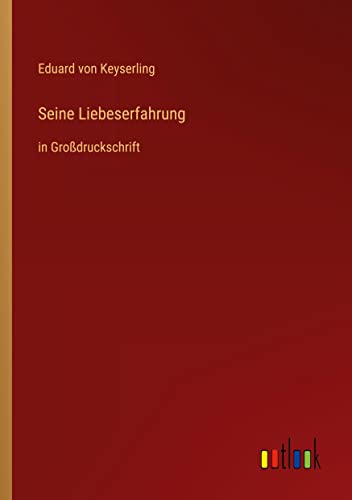 Seine Liebeserfahrung: in Großdruckschrift