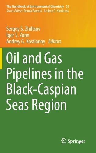 Oil and Gas Pipelines in the Black-Caspian Seas Region (The Handbook of Environmental Chemistry)