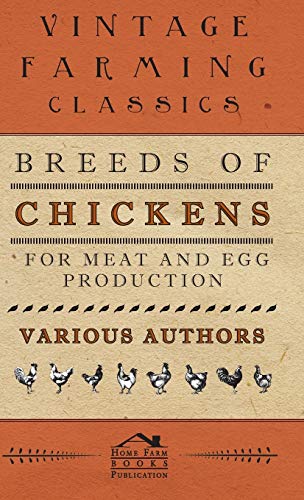 Breeds of Chickens for Meat and Egg Production