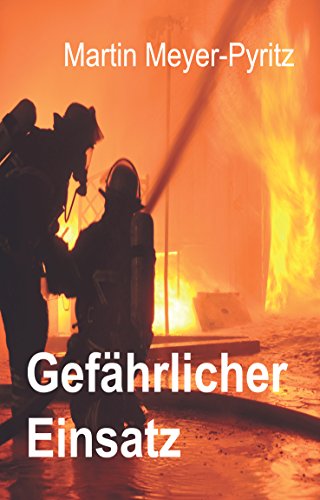 Meyer-Pyritz, Martin: Gefährlicher Einsatz