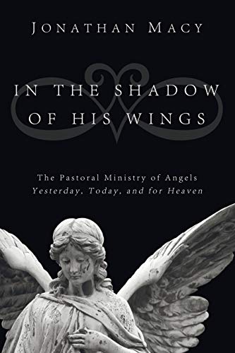 In the Shadow of His Wings: The Pastoral Ministry of Angels: Yesterday, Today, and for Heaven