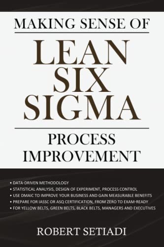 Making Sense of Lean Six Sigma Process Improvement
