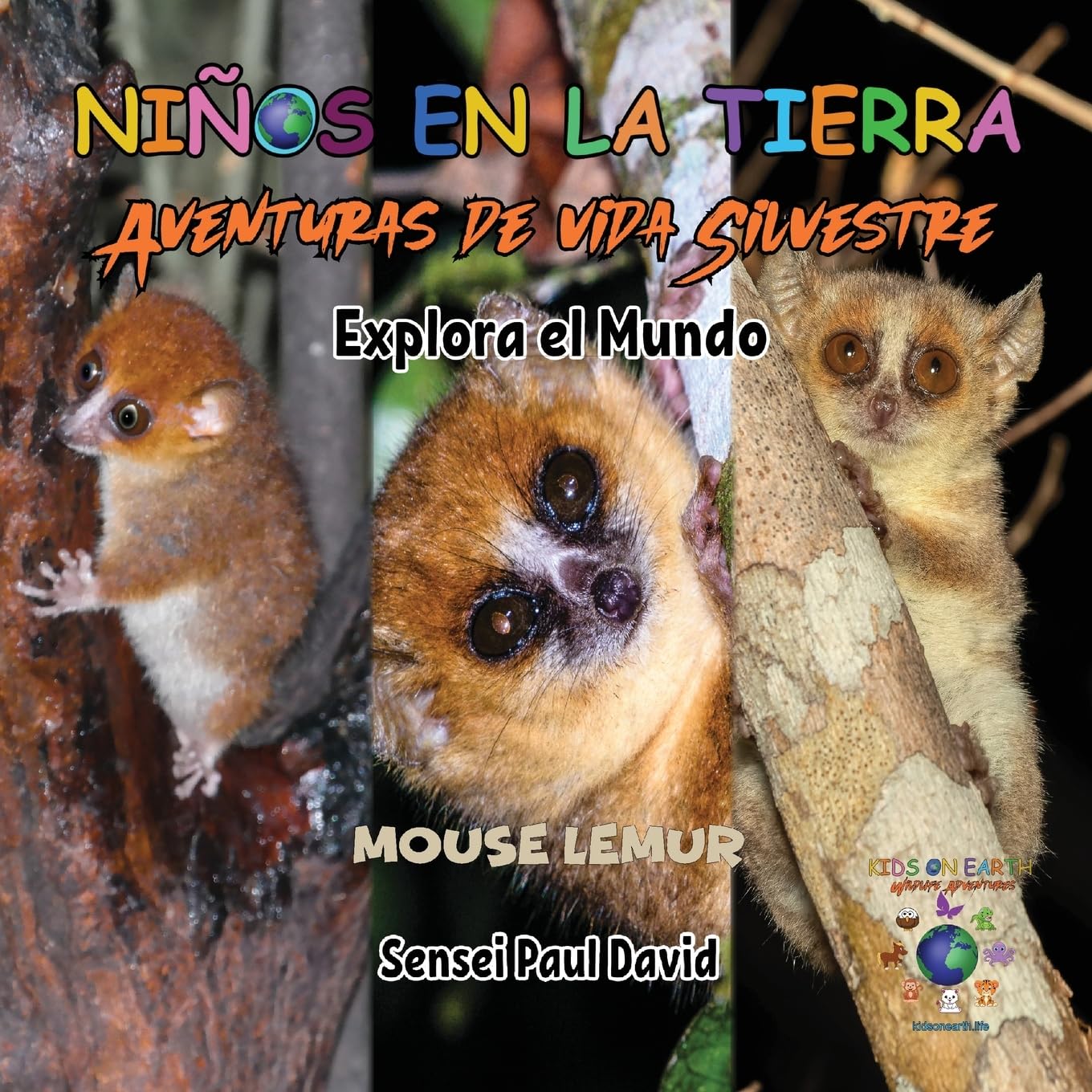 Nin¿os en la Tierra Aventuras de vida Silvestre - Explora el Mundo Mouse Lemur - Madagascar (Niños en la Tierra Aventuras de Vida Silvestre)