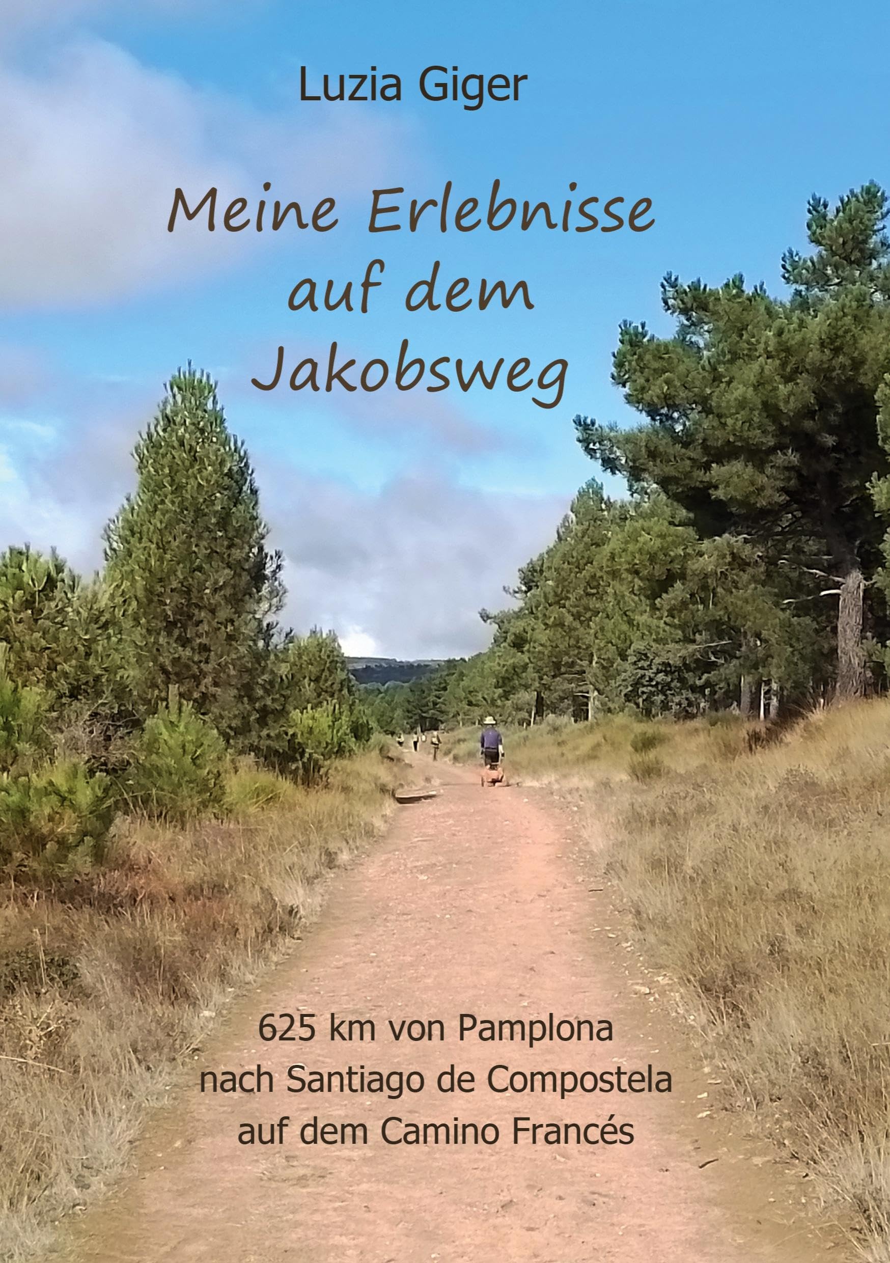 Meine Erlebnisse auf dem Jakobsweg: 625 km von Pamplona nach Santiago de Compostela auf dem Camino Francés