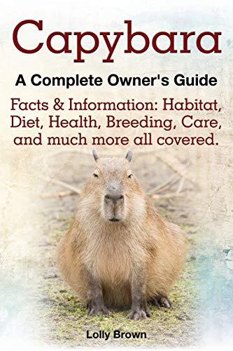 Lolly Brown Capybara. Facts & Information, Habitat, Diet, Health, Breeding, Care, And Much More All Covered. A Complete Owner's Guide