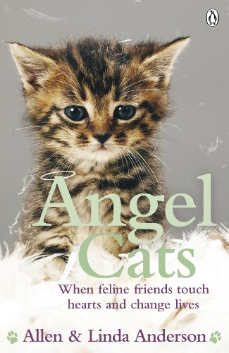 Allen Anderson Angel Cats, When Feline Friends Touch Hearts And Change Lives