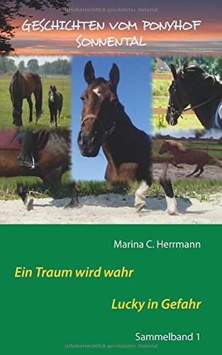 Geschichten vom Ponyhof Sonnental: Sammelband 1