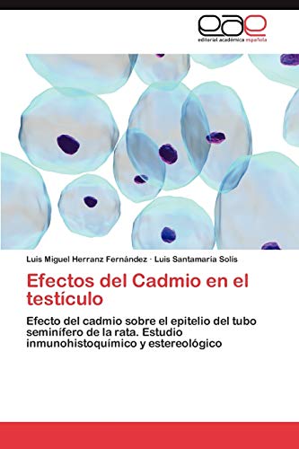 Efectos del Cadmio en el testículo: Efecto del cadmio sobre el epitelio del tubo seminífero de la rata. Estudio inmunohistoquímico y estereológico