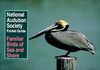 National Audubon Society Pocket Guide to Familiar Birds of Sea and Shore (National Audubon Society Pocket Guides)