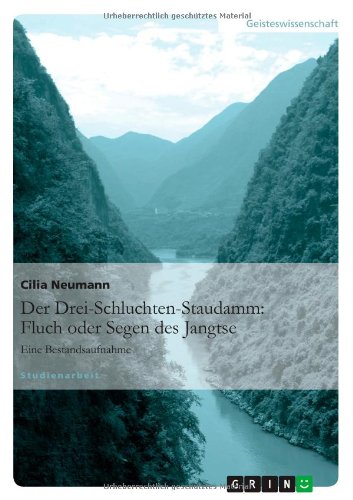 Der Drei-Schluchten-Staudamm: Fluch oder Segen des Jangtse: Eine Bestandsaufnahme