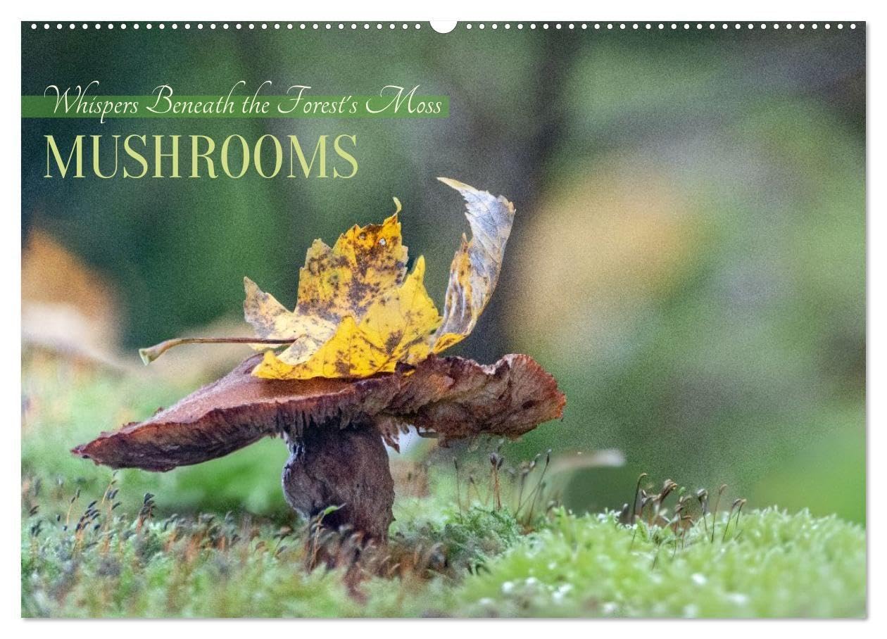 Whispers Beneath the Forest's Moss Mushrooms (Wall Calendar 2026 DIN A2 landscape), CALVENDO 12 Month Wall Calendar: Mystic and mysterious life of mushrooms in the forest (CALVENDO Nature)