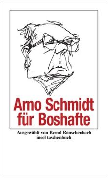 Arno Schmidt für Boshafte (insel taschenbuch)