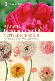 Vertraute Exoten: Gartenblumen aus aller Welt