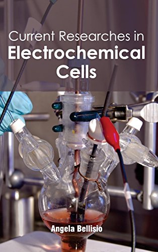 Current Researches in Electrochemical Cells