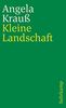 Kleine Landschaft: Erzählungen (suhrkamp taschenbuch)