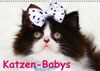 Katzen-Babys (Wandkalender immerwährend DIN A3 quer)