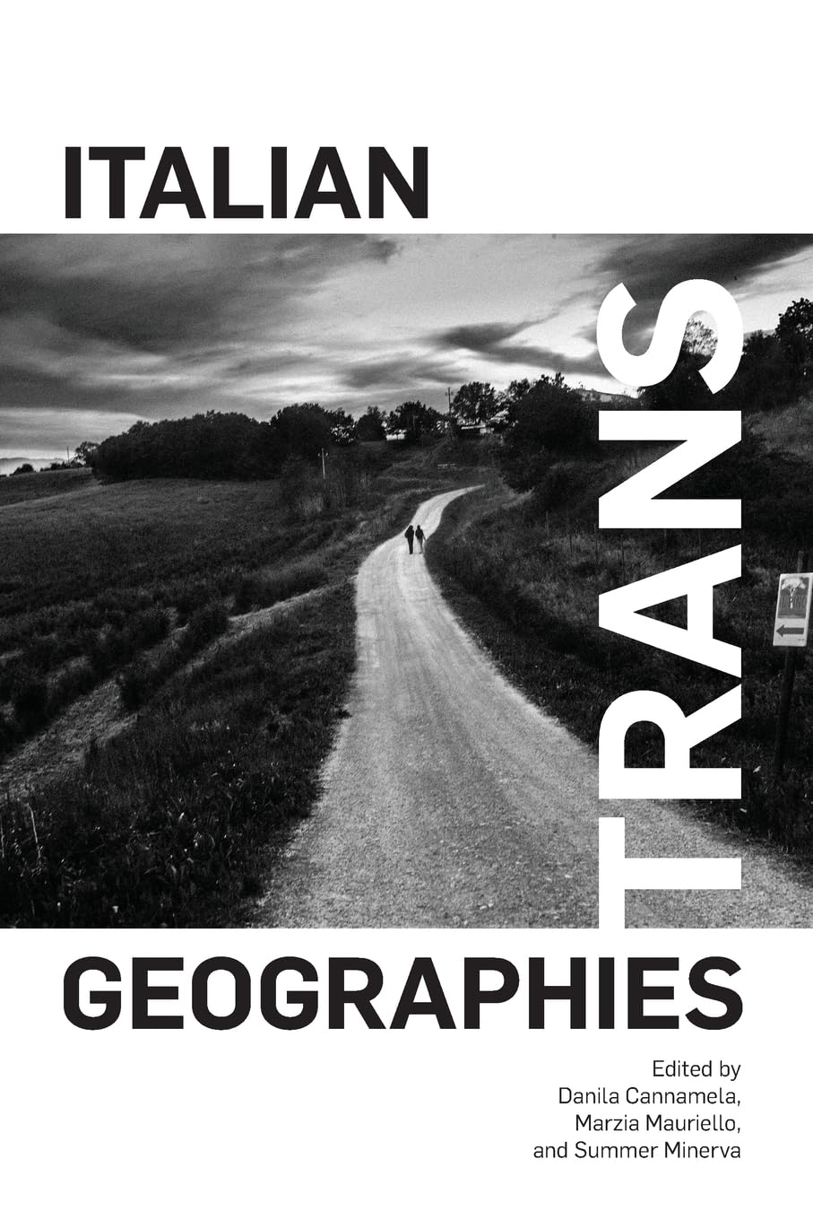 Italian Trans Geographies (Suny Italian/American Culture)