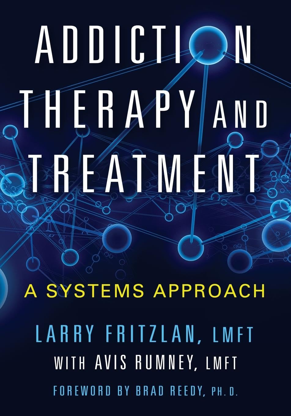Addiction Therapy and Treatment: A Systems Approach