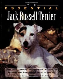 The Essential Jack Russell Terrier (The Essential Guides)