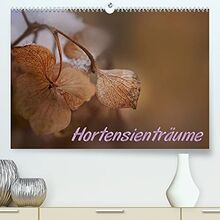 Hortensienträume (Premium, hochwertiger DIN A2 Wandkalender 2023, Kunstdruck in Hochglanz)