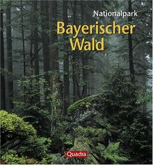 Nationalpark Bayerischer Wald. Urwald entsteht im ältesten Schutzgebiet