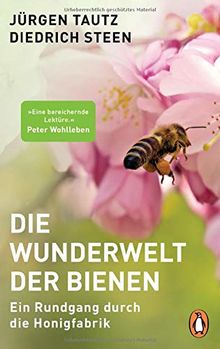 Die Wunderwelt der Bienen: Ein Rundgang durch die Honigfabrik