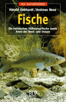 Fische. Die heimischen Süßwasserfische sowie Arten der Nord- und Ostsee