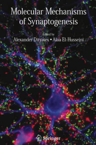 Molecular Mechanisms of Synaptogenesis