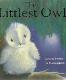 The Littlest Owl