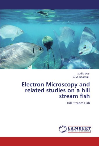 Electron Microscopy and related studies on a hill stream fish: Hill Stream Fish