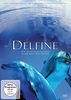 Delfine - Eine phantastische Reise in die Welt der Delfine