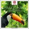 entspanntSEIN - Amazonas (Eine meditative Phantasiereise durch den faszinierenden Regenwald)