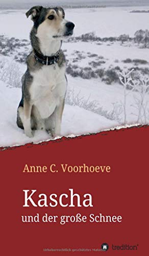 Kascha und der große Schnee - Anne C Voorhoeve Kartoniert (TB)