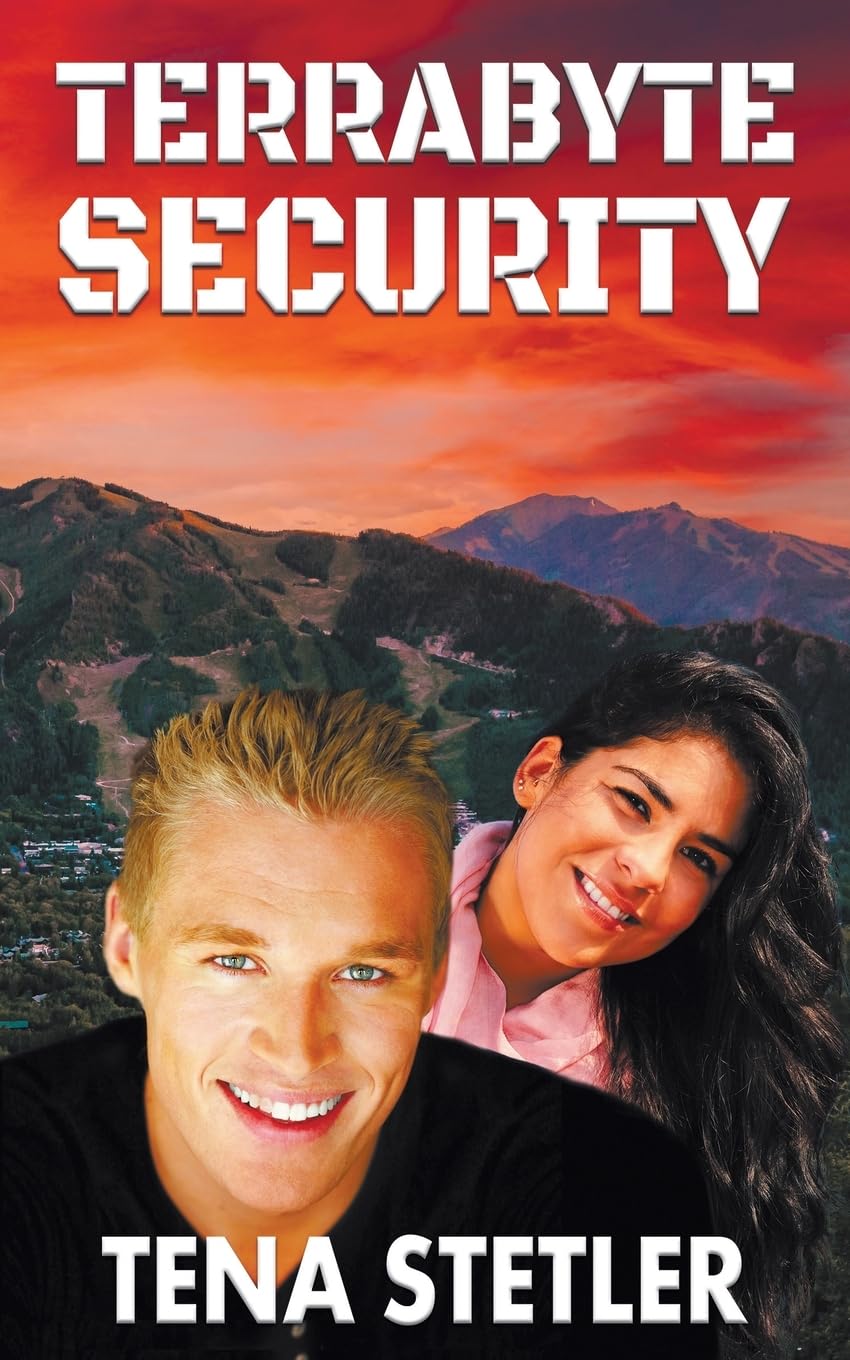 Terrabyte Security (Mountain Town Mysteries, Band 2)